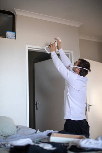 Best Asbestos and Lead Testing During Mold Inspection  in Ferdand, IN
