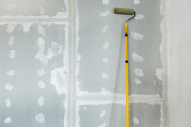 Best Mold Odor Removal Services  in Ferdand, IN