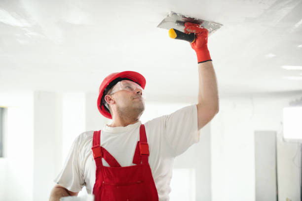 Best Mold-Related Health Consultation  in Ferdand, IN